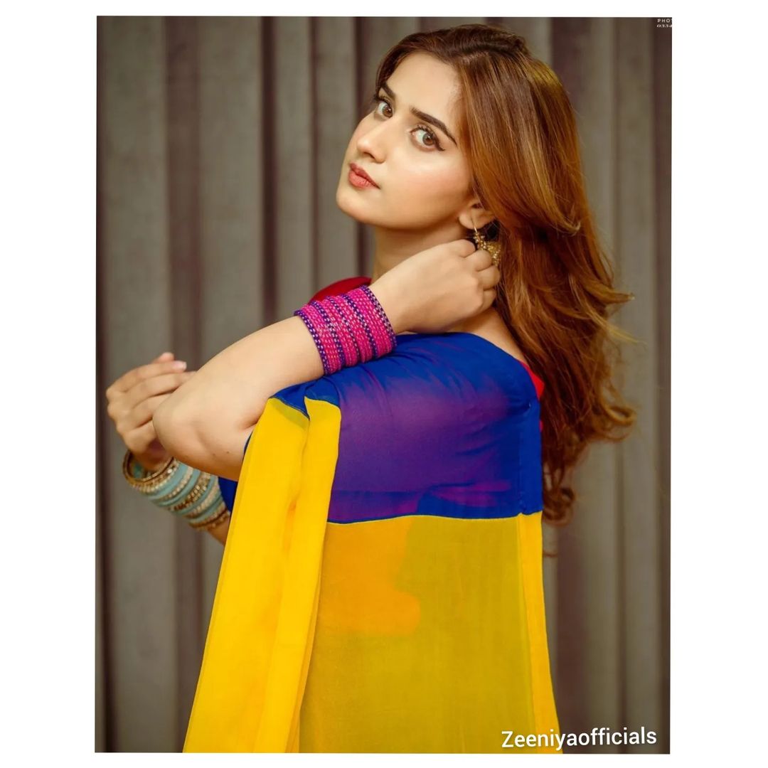 Bollywood saree