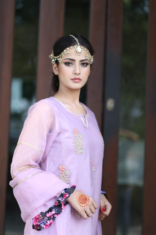 Light purple Organza kurta